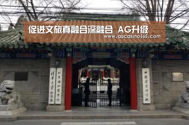 AG电子